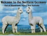 www.surifarm.de