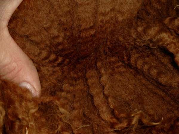 dark fawn crimp.jpg