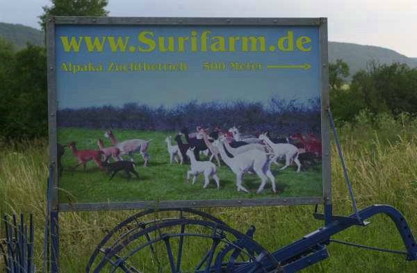 wo gehts zur www.surifarm.de.jpg